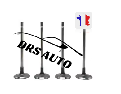 "Kit de soupapes d’admission et d’échappement – Réf. 9807292680 / 9807292780 – Pour Peugeot 308, 408, 4008 et Citroën C3-XR, C4 1.2T"